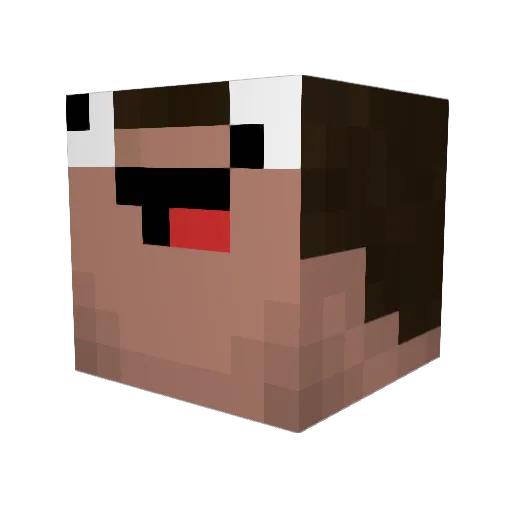 rikupe324 Minecraft avatar head, 3D render