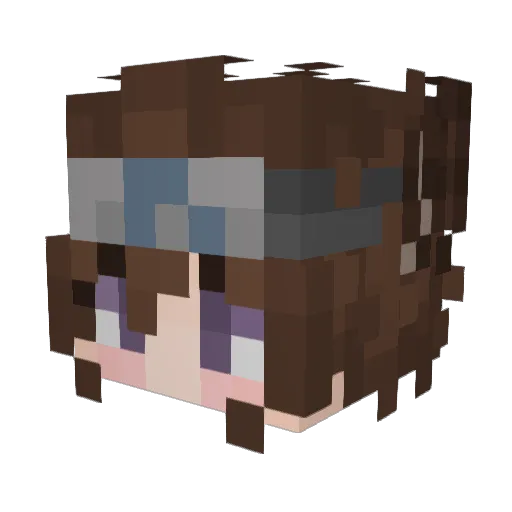 rilblitz Minecraft avatar head, 3D render