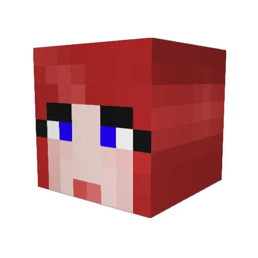 riles99 Minecraft avatar head, 3D render