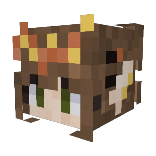 rilesnb Minecraft avatar head, 3D render