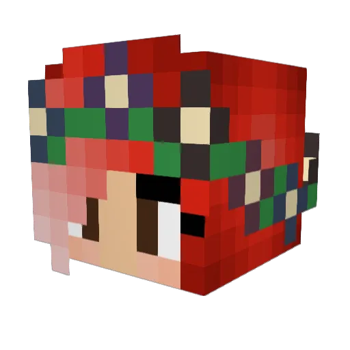 riley1571 Minecraft avatar head, 3D render