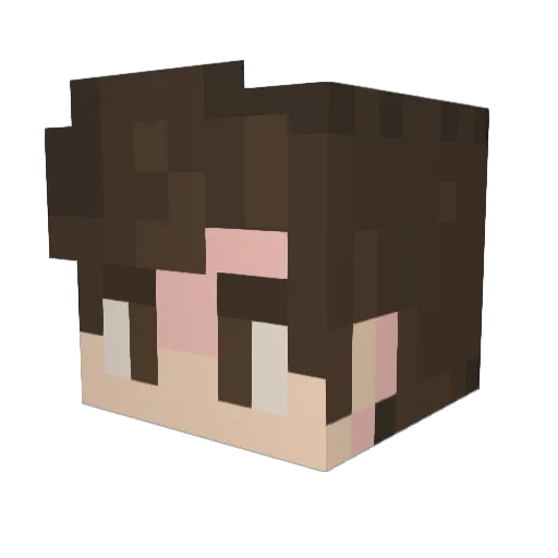 riley2019 Minecraft avatar head, 3D render