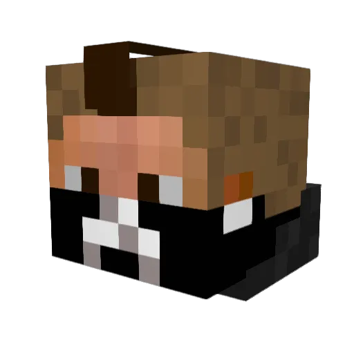 riley304 Minecraft avatar head, 3D render