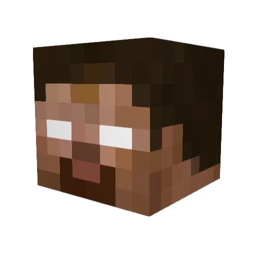 riley8765 Minecraft avatar head, 3D render