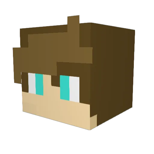 rileyVAPES Minecraft avatar head, 3D render