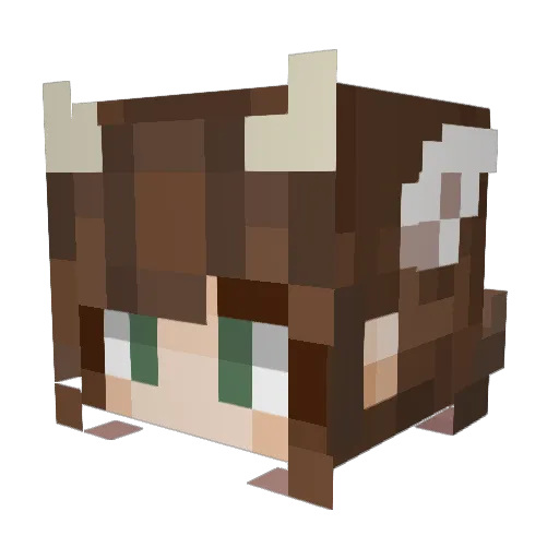 rileydawnrr Minecraft avatar head, 3D render