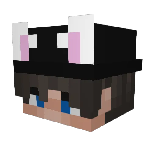 rileyies Minecraft avatar head, 3D render