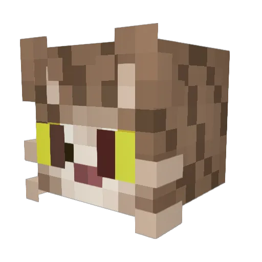 rileyisanerd Minecraft avatar head, 3D render