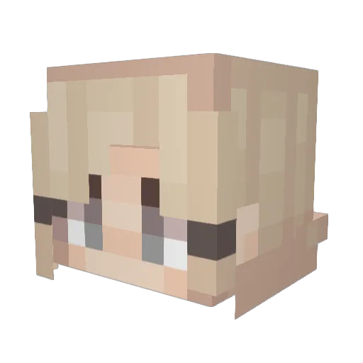 rileyk0629 Minecraft avatar head, 3D render