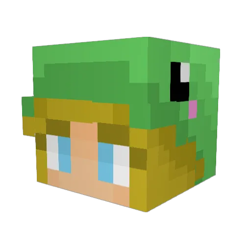 rileyluvs Minecraft avatar head, 3D render