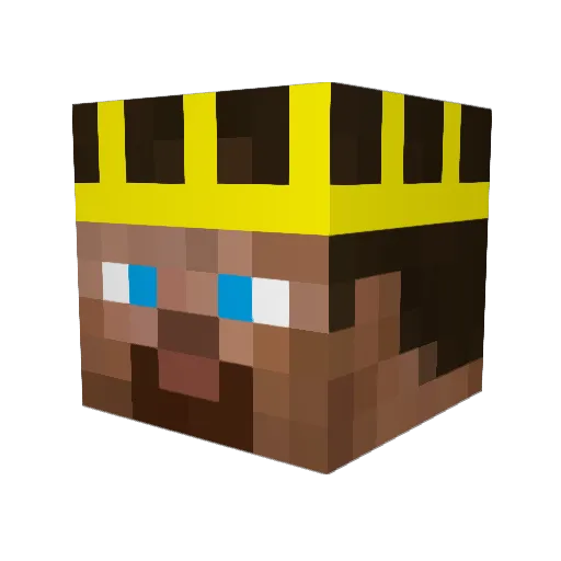 rileym9653 Minecraft avatar head, 3D render