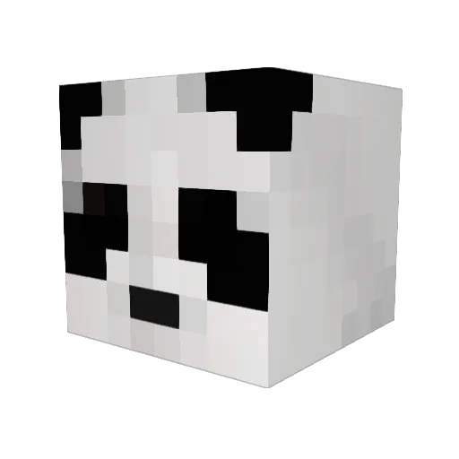 rileymorris5211 Minecraft avatar head, 3D render