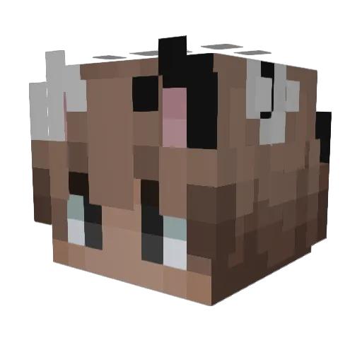 rileyrocket2015 Minecraft avatar head, 3D render