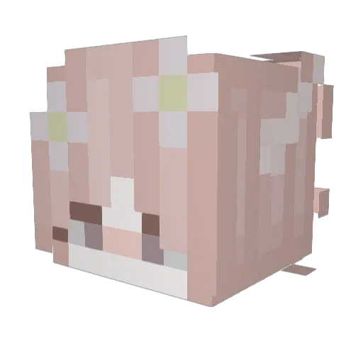 rileysirpcat Minecraft avatar head, 3D render