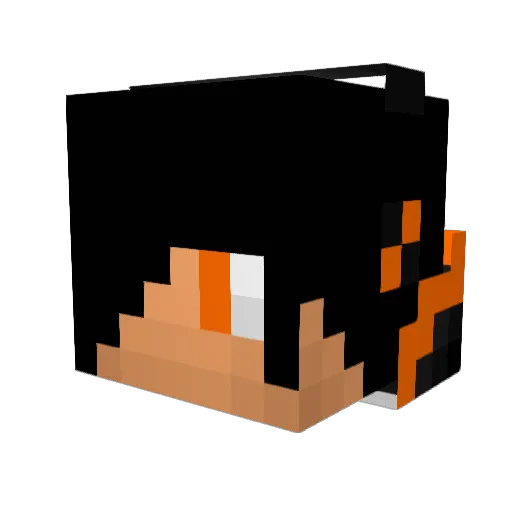 rileyswallow Minecraft avatar head, 3D render