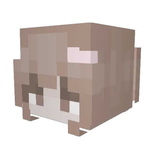 rileythelegend Minecraft avatar head, 3D render