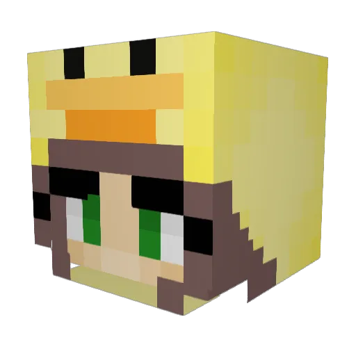 rileyuhh Minecraft avatar head, 3D render