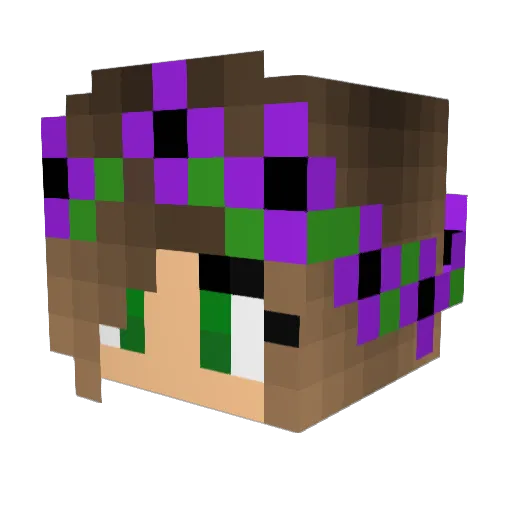 rileyvsmith Minecraft avatar head, 3D render