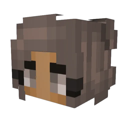 rileyxnikole Minecraft avatar head, 3D render