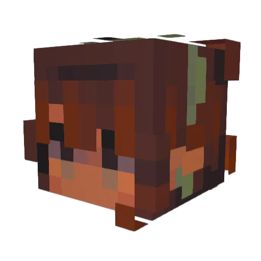 rileyxx Minecraft avatar head, 3D render
