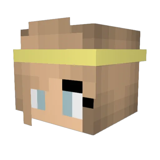 rileyybrooks Minecraft avatar head, 3D render