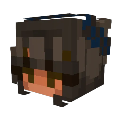 rileyyy_133 Minecraft avatar head, 3D render