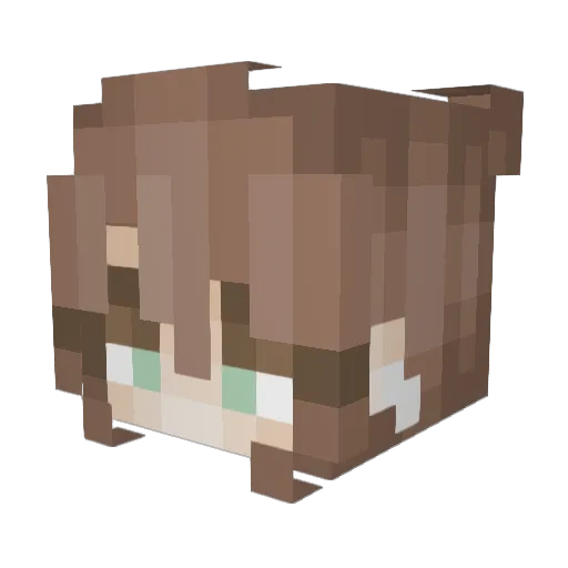 rileyzn Minecraft avatar head, 3D render