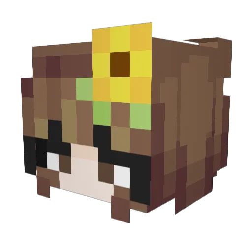 rilsprin Minecraft avatar head, 3D render