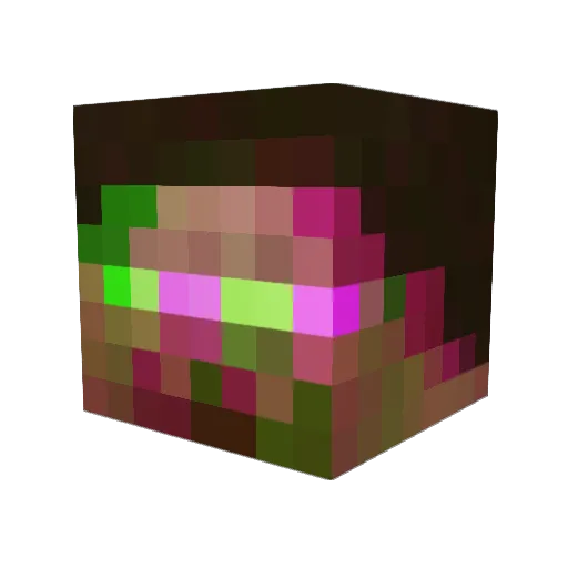 rilycyrus Minecraft avatar head, 3D render