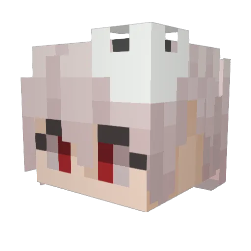 rim1216 Minecraft avatar head, 3D render