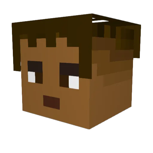 rimbo7 Minecraft avatar head, 3D render