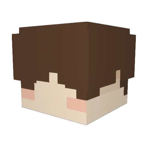 rimoukin Minecraft avatar head, 3D render