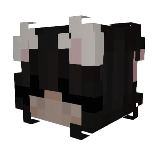 rin6660 Minecraft avatar head, 3D render