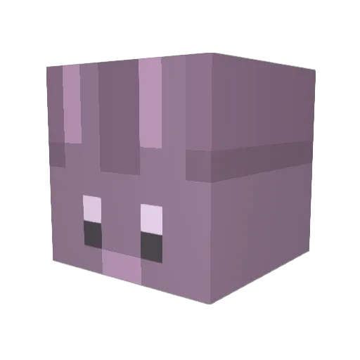 rin_cha Minecraft avatar head, 3D render