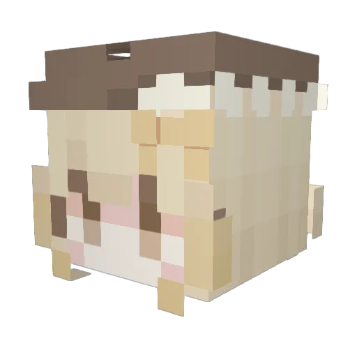 rina134 Minecraft avatar head, 3D render