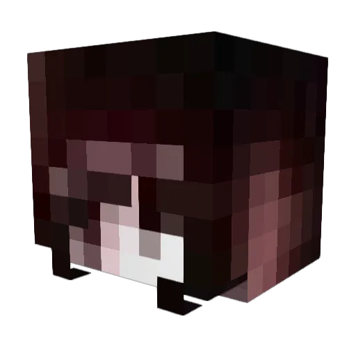 rinalies Minecraft avatar head, 3D render