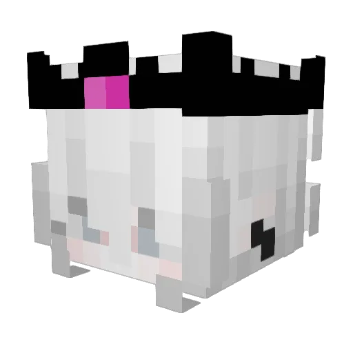 rincho3931 Minecraft avatar head, 3D render