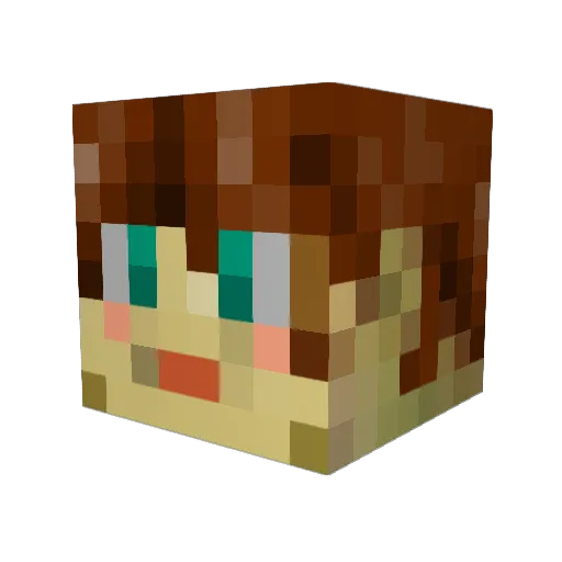 rinellie Minecraft avatar head, 3D render