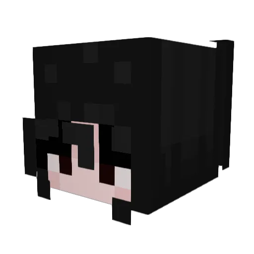 rineshi Minecraft avatar head, 3D render