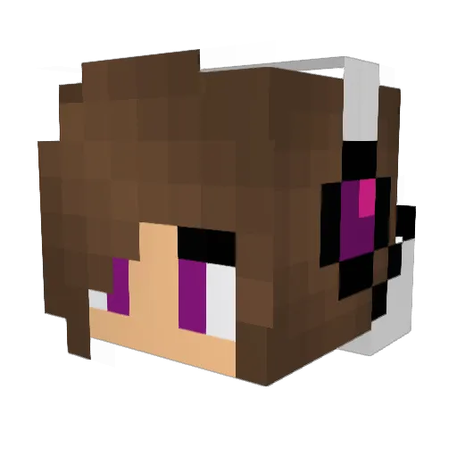 ringettegurl Minecraft avatar head, 3D render