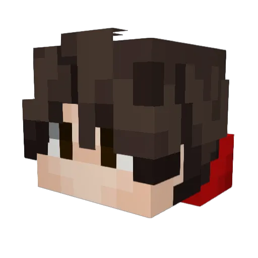 ringo07061 Minecraft avatar head, 3D render