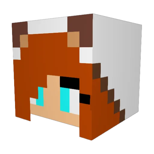 ringo48 Minecraft avatar head, 3D render