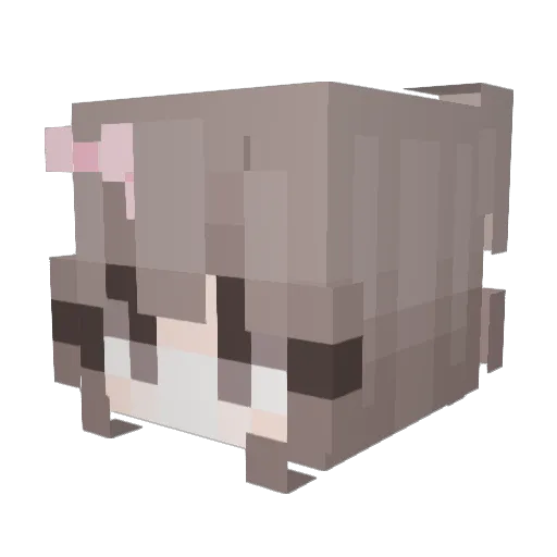 ringring22222 Minecraft avatar head, 3D render