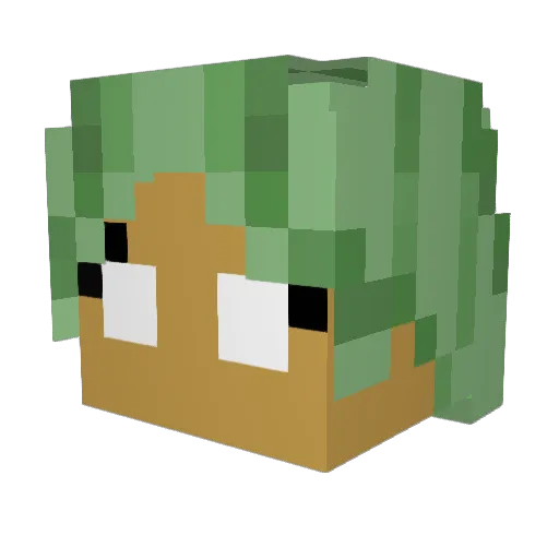 rinisntin Minecraft avatar head, 3D render
