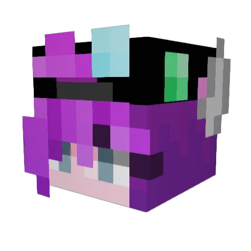 rinkrat1313 Minecraft avatar head, 3D render