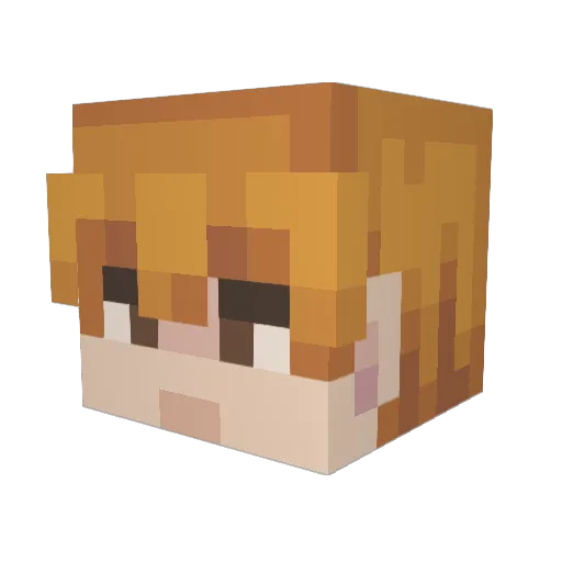 rinkydinky_ Minecraft avatar head, 3D render
