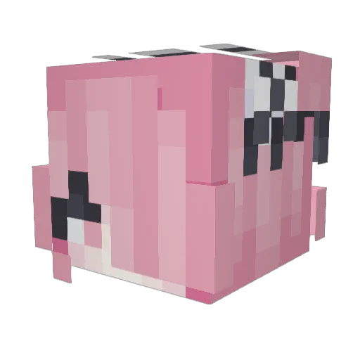 rinne0727 Minecraft avatar head, 3D render