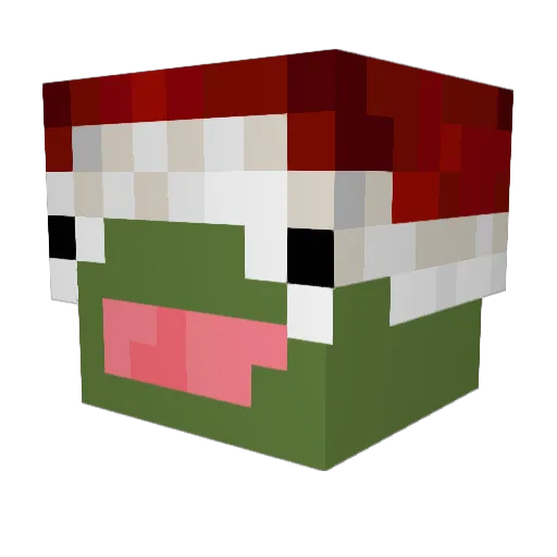 rinni21 Minecraft avatar head, 3D render