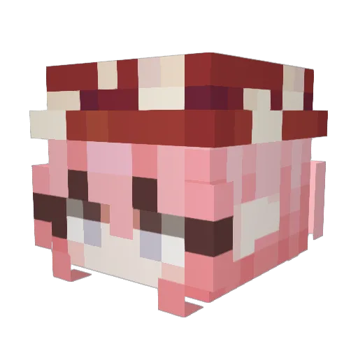 rinnietheRAT Minecraft avatar head, 3D render