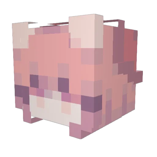 rinnn_1314 Minecraft avatar head, 3D render